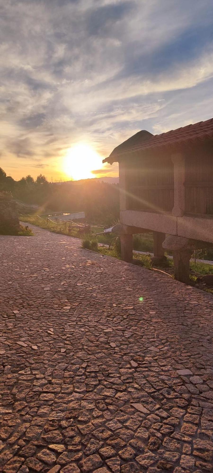 Santa Leocadia Quinta Da Riba Maゲストハウス エクステリア 写真